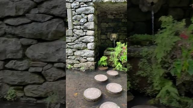 Мадейра. Тропический сад Jardim Tropical Monte Palace