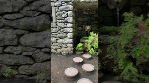 Мадейра. Тропический сад Jardim Tropical Monte Palace