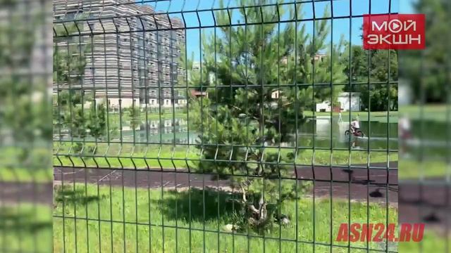 После циклона благовещенские дети резвятся и купаются в дождевом «озере» на стадионе школы № 17