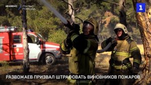 Развожаев призвал штрафовать виновников пожаров