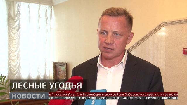 Таёжный потенциал: какие проблемы не дают эффективно использовать лес в крае? Новости. 23/06/2025.