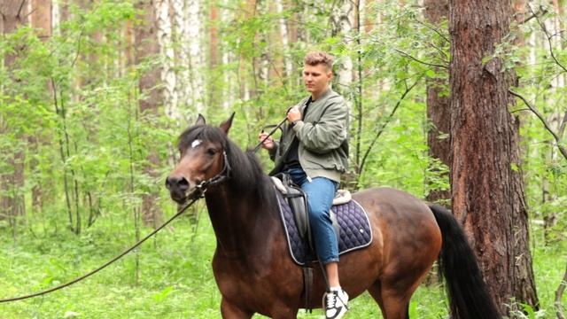 Романтическое свидание верхом на лошадях