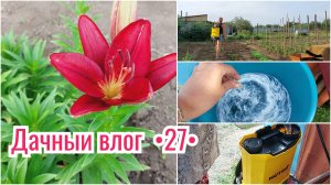 НАВОЖУ ПОРЯДОК В САДУ 🔥 ПОБРЫЗГАЛА КЛУБНИКУ 👍 ПОЕДЕМ НА РЫБАЛКУ