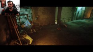 Так и знал... Stray -12