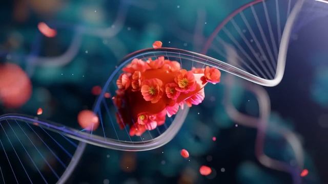 Матрица Петра Гаряева Восствновление и Регенерация Печени Обновление 2025: Мощное Омоложение Печени смотреть онлайн