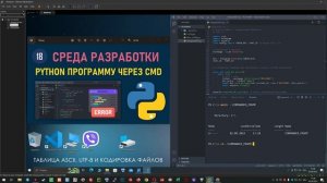 programnyy pomoshchnik