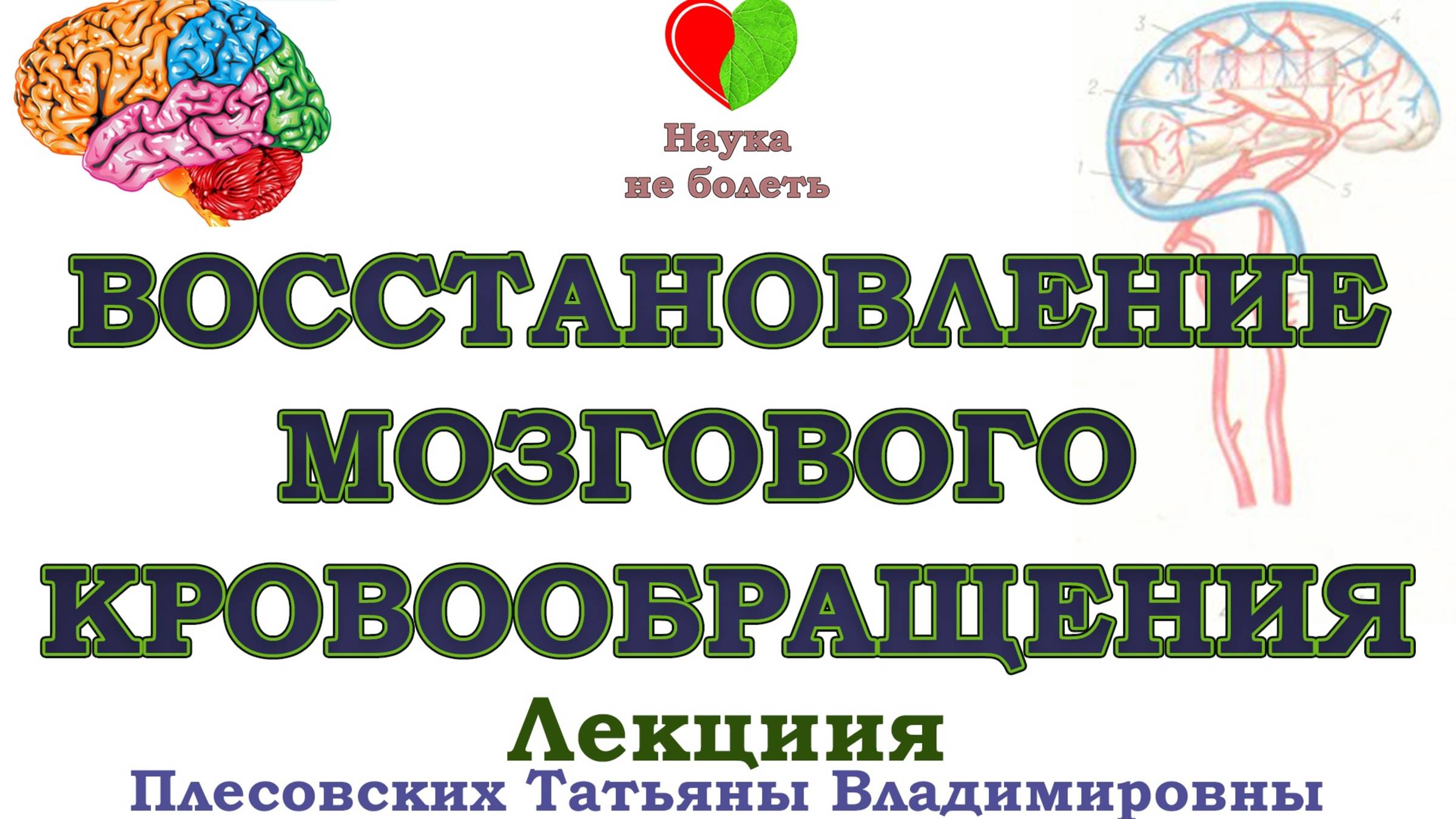 КАК ВОССТАНОВИТЬ МОЗГОВОЕ КРОВООБРАЩЕНИЕ -||- МОЗГОВОЕ КРОВООБРАЩЕНИЕ КАК УЛУЧШИТЬ -|| ЛЕЧЕНИЕ МОЗГ