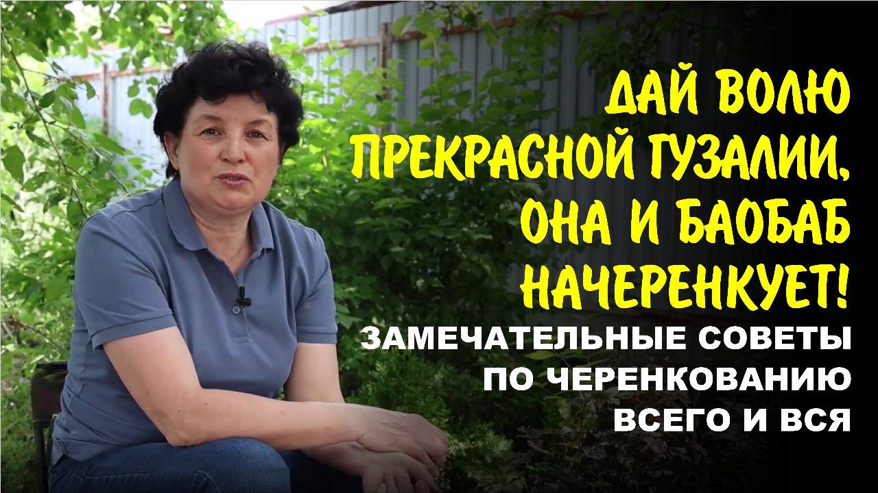 Секреты стопроцентного укоренения кустарников. Размножаем легко и бесплатно…