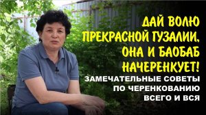 Секреты стопроцентного укоренения кустарников. Размножаем легко и бесплатно…