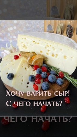 Хочу варить сыр! С чего начать?