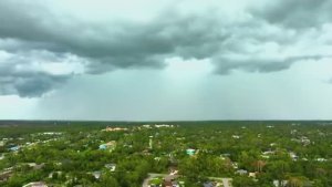 Спокойное дыхание земли под музыку лесной гармонии - Часть 9