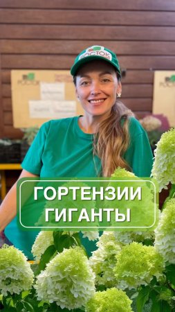 Создайте вау-эффект на вашем участке с этими сортами гортензий 😍