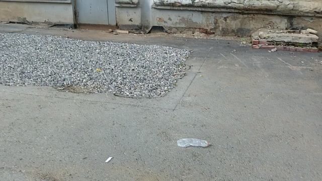 23 июня 2025 г., 19:43:57
Двор П. Осипенко 48
VID_20250623_194325237