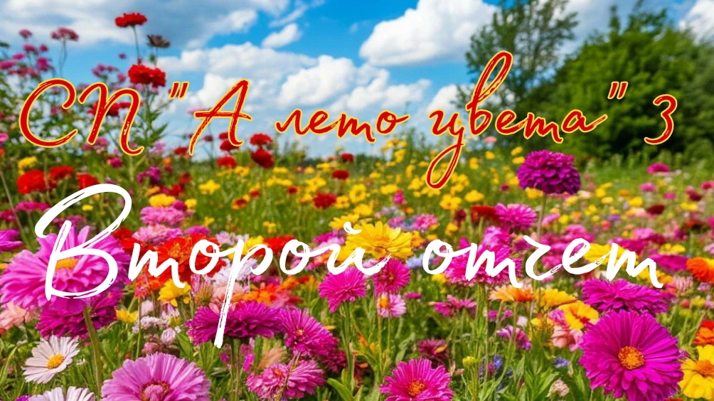 СП "А лето цвета..." 3. Второй отчет.