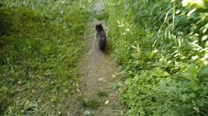По кустам сегодня не пошли.