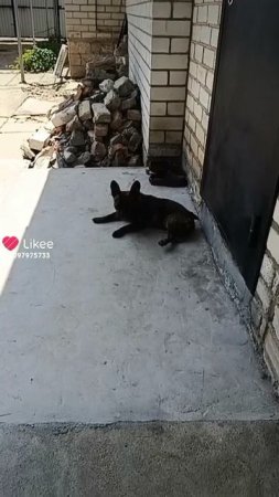 1000006525.mp4