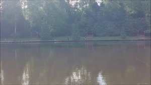 Утренний обзор с нижнего водоёма. Клёвое место, Лосиный остров.