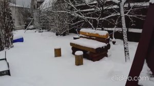 Очаровательная Сила. стихи Анатолия Глущенко (клип)