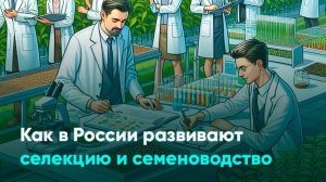 Как в России развивают селекцию и семеноводство