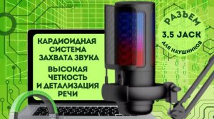 Микрофон конденсаторный на кронштейне PL 20