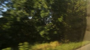 DSCN8087

Домбай,канатка,Теберда,зоопарк июнь 2025