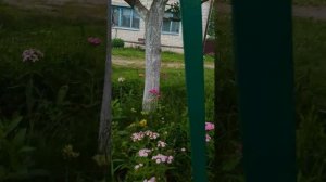 ура два подписчика