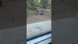 Вот что сняли камеры моего дома.