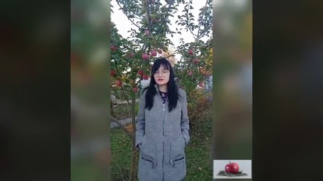 Чем полезны яблоки?