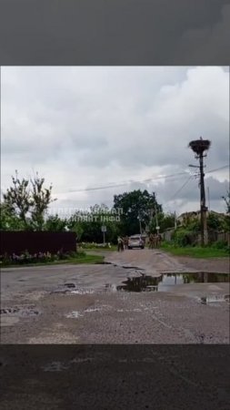 Мобилизация в Киевской области