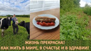 ЕСЛИ ВЫ ХОТИТЕ, ЧТОБЫ НЕ БЫЛО ВОЙНЫ - ЗАНИМАЙТЕСЬ ЗЕМЛЕДЕЛИЕМ. ЭТО - ЕДИНСТВЕННОЕ, ЧТО МОЖЕТ СПАСТИ