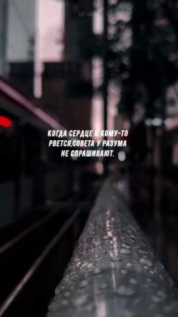 #879 Цитата дня. Мотивация.