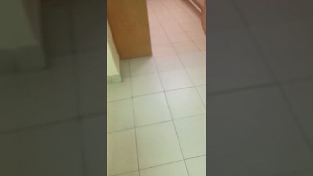 заброшенный университет. 1 серия.