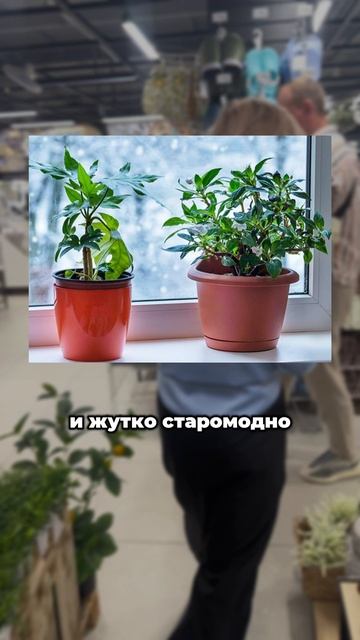 ТАКОЕ точно УЖЕ УСТАРЕЛО! 😱 НЕ БЕРИ такое в квартиру | хоумстейджинг | кашпо | горшки | цветы |
