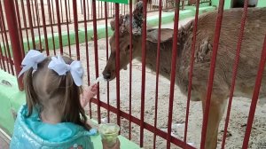 Контактный зоопарк, Таганрог