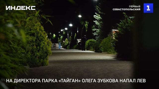 На директора парка «Тайган» Олега Зубкова напал лев