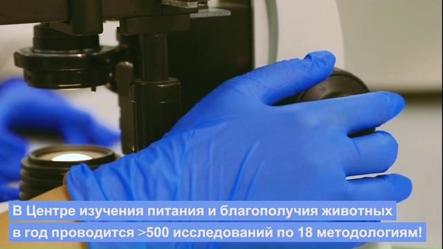 Центр изучения питания и благополучия животных