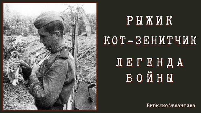 Рыжик кот-зенитчик.  Легенда войны/аудиокнига