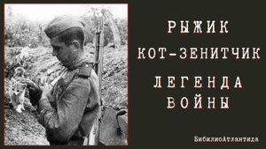 Рыжик кот-зенитчик. Легенда войны/аудиокнига