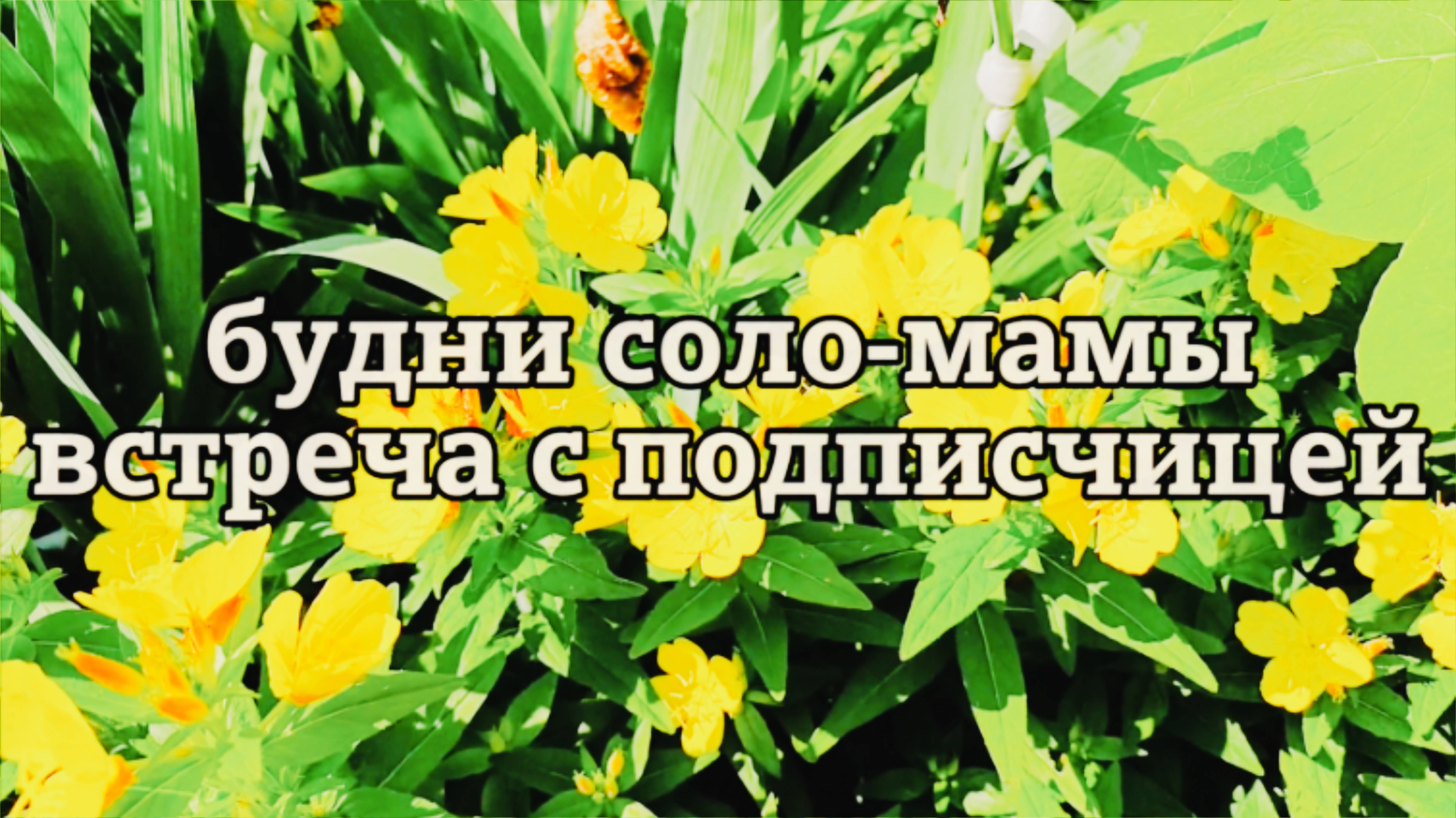 ВЫХОДНОЙ ДЕНЬ СОЛО-МАМЫ