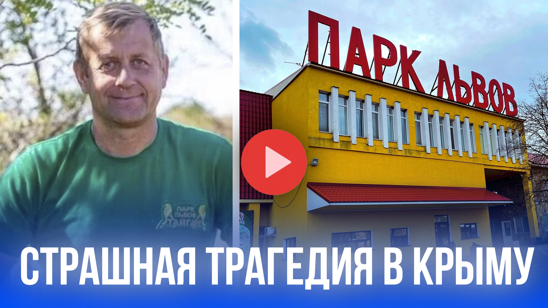 Крымский ужас! Львы набросились на директора "Тайгана" – он потерял сознание в клетке!