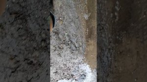 VID_20250623_101751.mp4