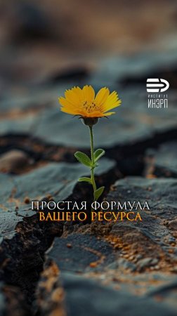 Простая формула вашего ресурса