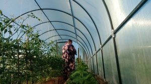 Нашла для себя решение. 🥒🥒. Он такой задумчивый.🐰🐰.