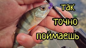 С ЭТОЙ СНАСТЬЮ ТЫ ТОЧНО ПОЙМАЕШЬ !!! ОТВОДНОЙ ПОВОДОК,  ЛОВИТ ДАЖЕ В БЕСКЛЁВЬЕ !!!