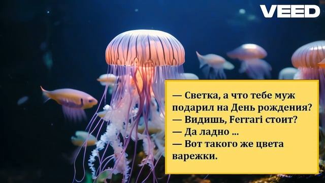 Релакс с анекдотами2