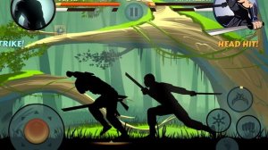 Летний Бой в Shadow Fight 2 № 343