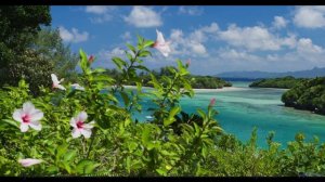 Лес, грязь под колёсами и ритм, который не даёт остановиться! - The Call -- Podington Bear -- The Hu