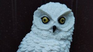 Мокрая неделя. Влог 16-22.06.25