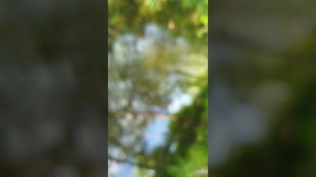 1000001578.mp4