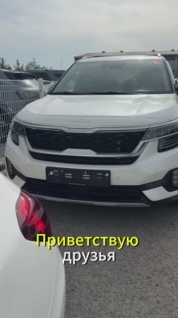 Подбор Kia Seltos за 2.4 млн из Кореи